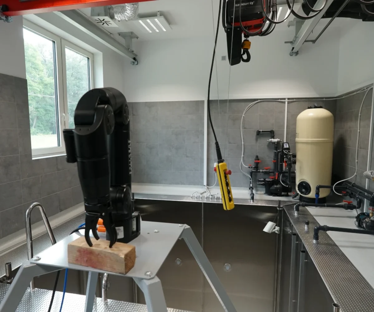 zielona_góra_ptk_04